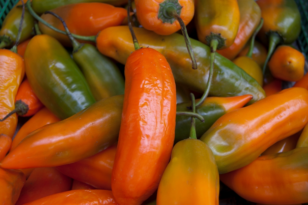 Foods That Can Be Found In The Andes Foods That Can Be Found In The Andes