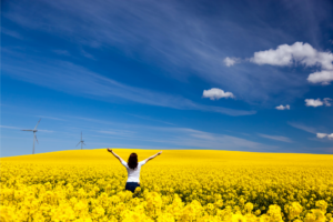 woman in field of yellow flowers with blue skies