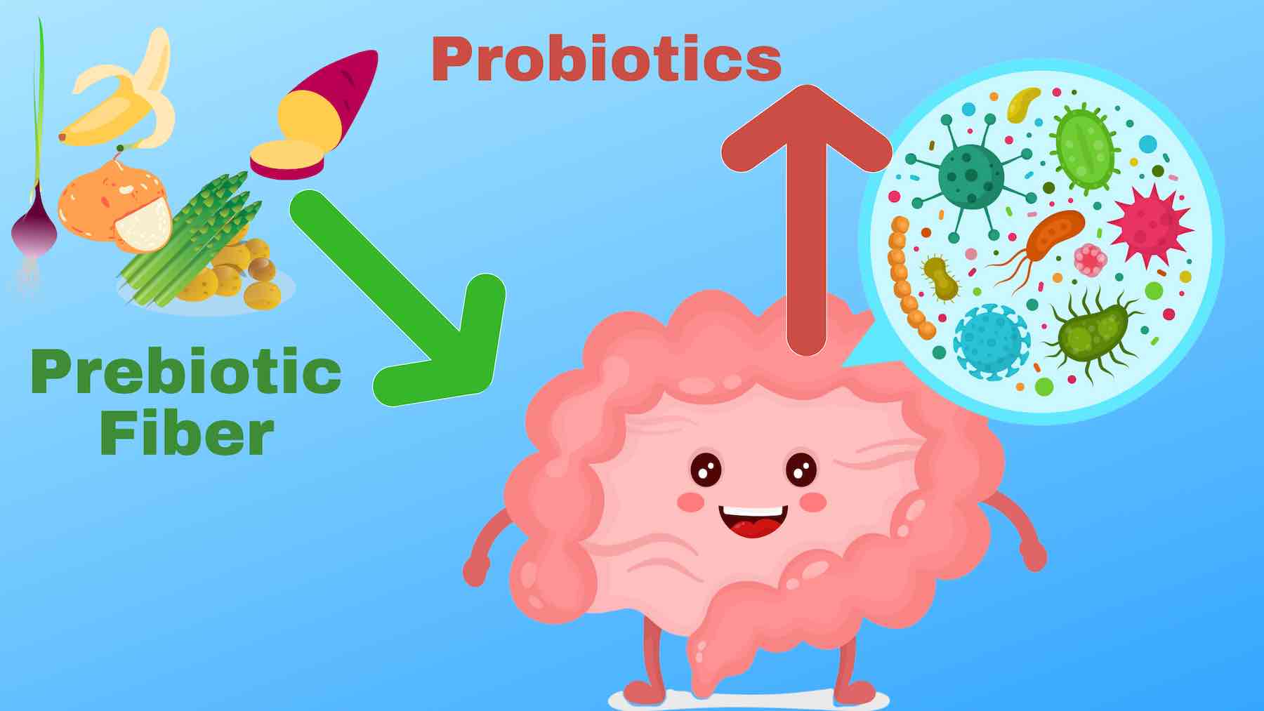 probiotics and prebiotics