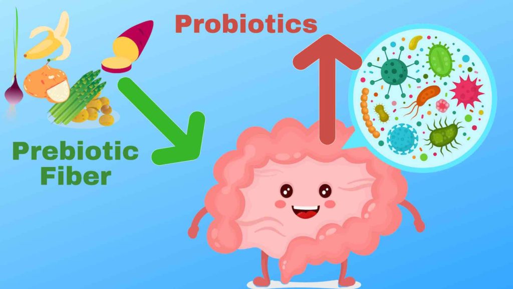 probiotics and prebiotics how to restore healthy gut flora