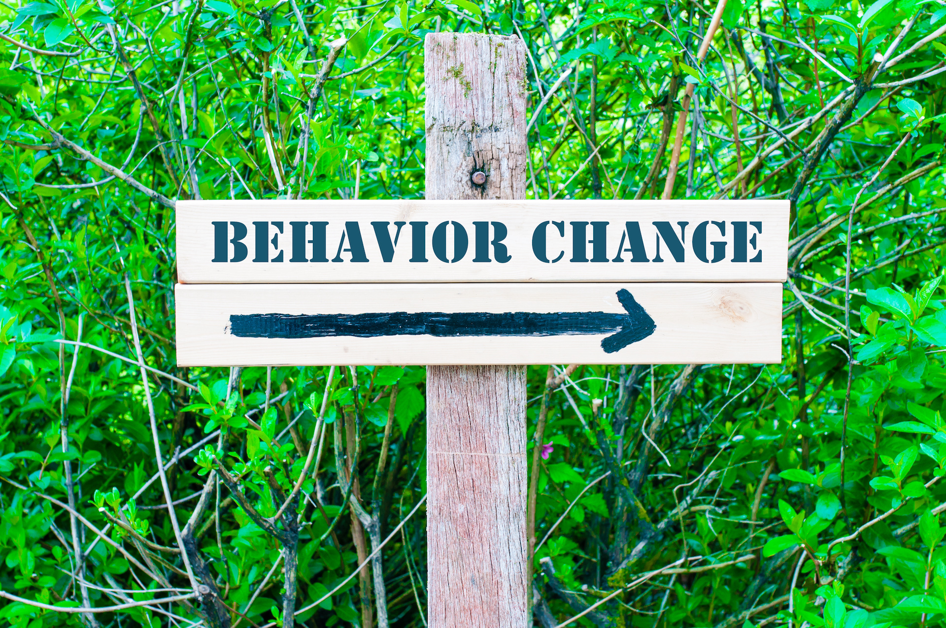 The Most Important Behavioral Strategies For Weight Loss Manuel the-most-important-behavioral-strategies-for-weight-loss-manuel