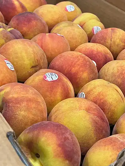 peaches from farm tour